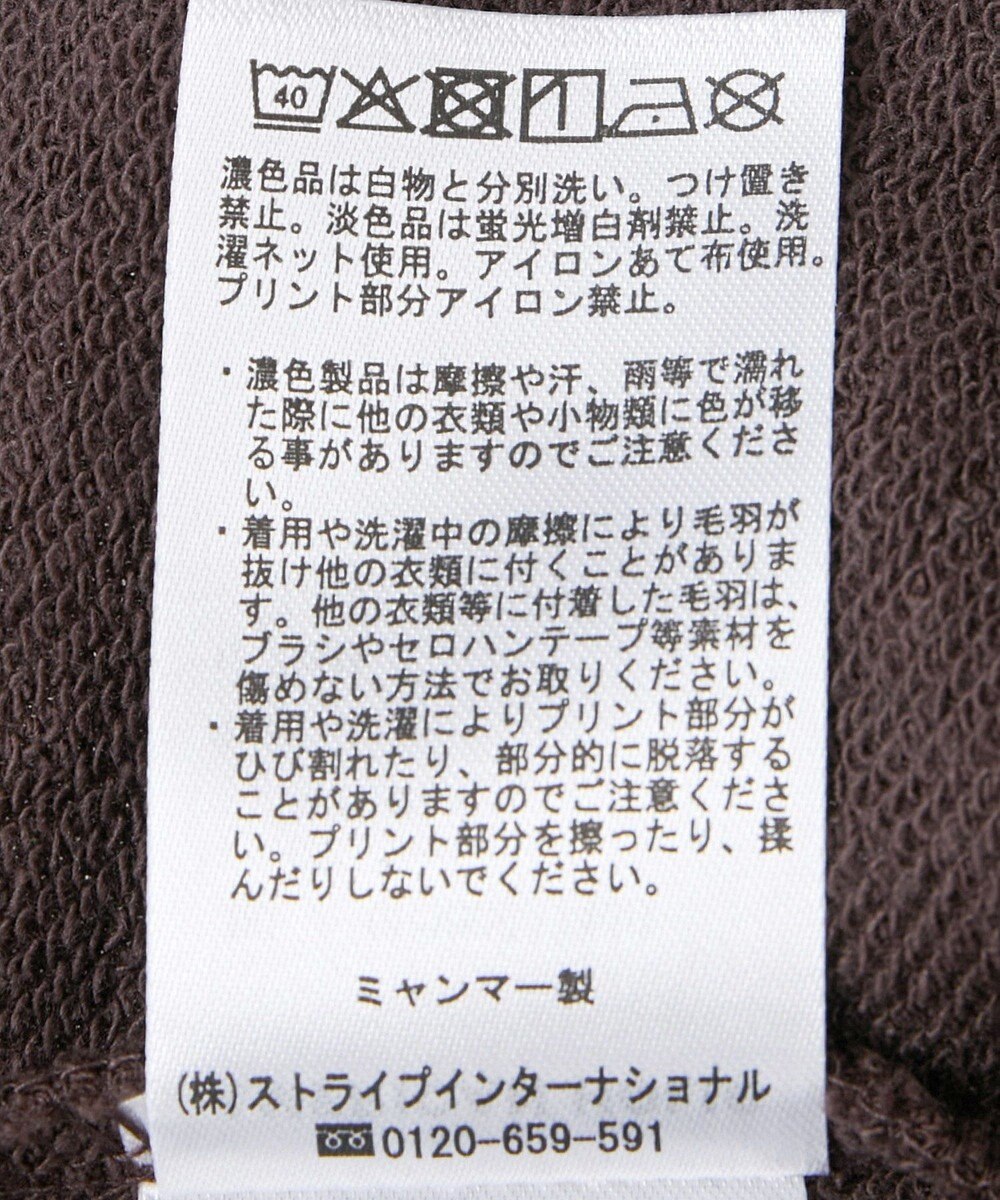 AMERICAN HOLIC アソートカレッジロゴ裏毛プルオーバー 