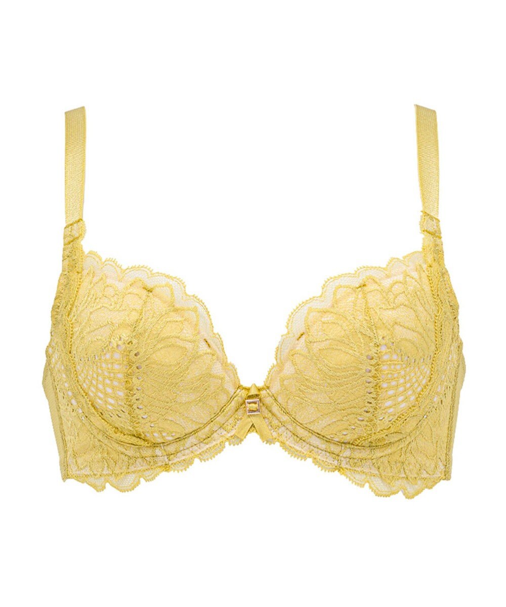 BRADELIS New York 【BRADELIS New York / 育乳ブラ・STEP2 寄せる】　ナオミステップ2ブラ22A1 