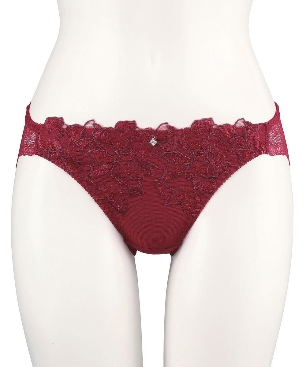 San-ai Resort（三愛水着楽園） エレガントコレクション【2411】ノーマルショーツ 【northerly】 