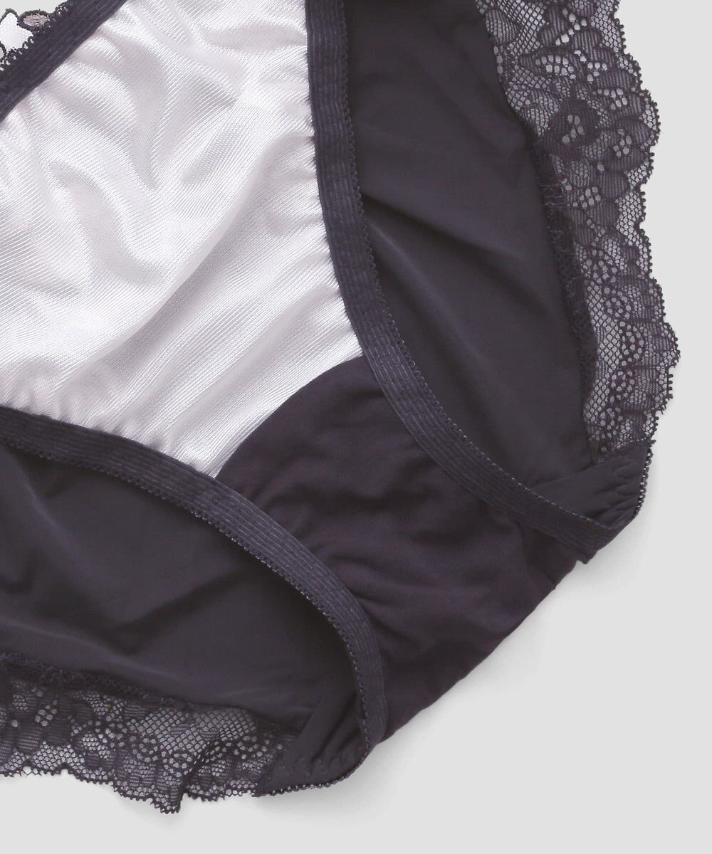 San-ai Resort（三愛水着楽園） エレガントコレクション【2411】ノーマルショーツ 【northerly】 