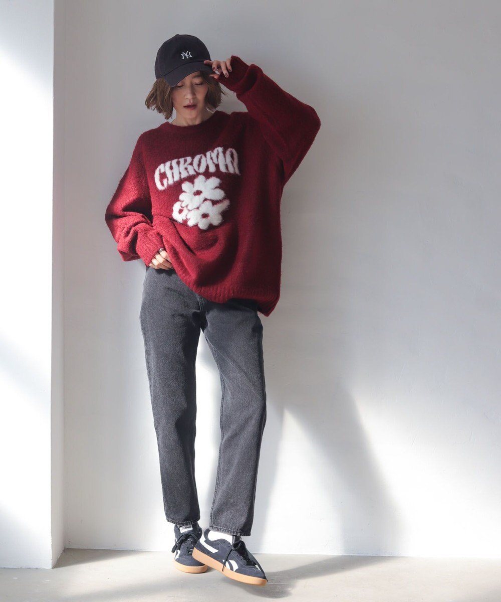 WEGO 【ユニセックス着用ITEM/MLサイズ展開/25年秋冬新作】ファジーグラフィックプルオーバー 