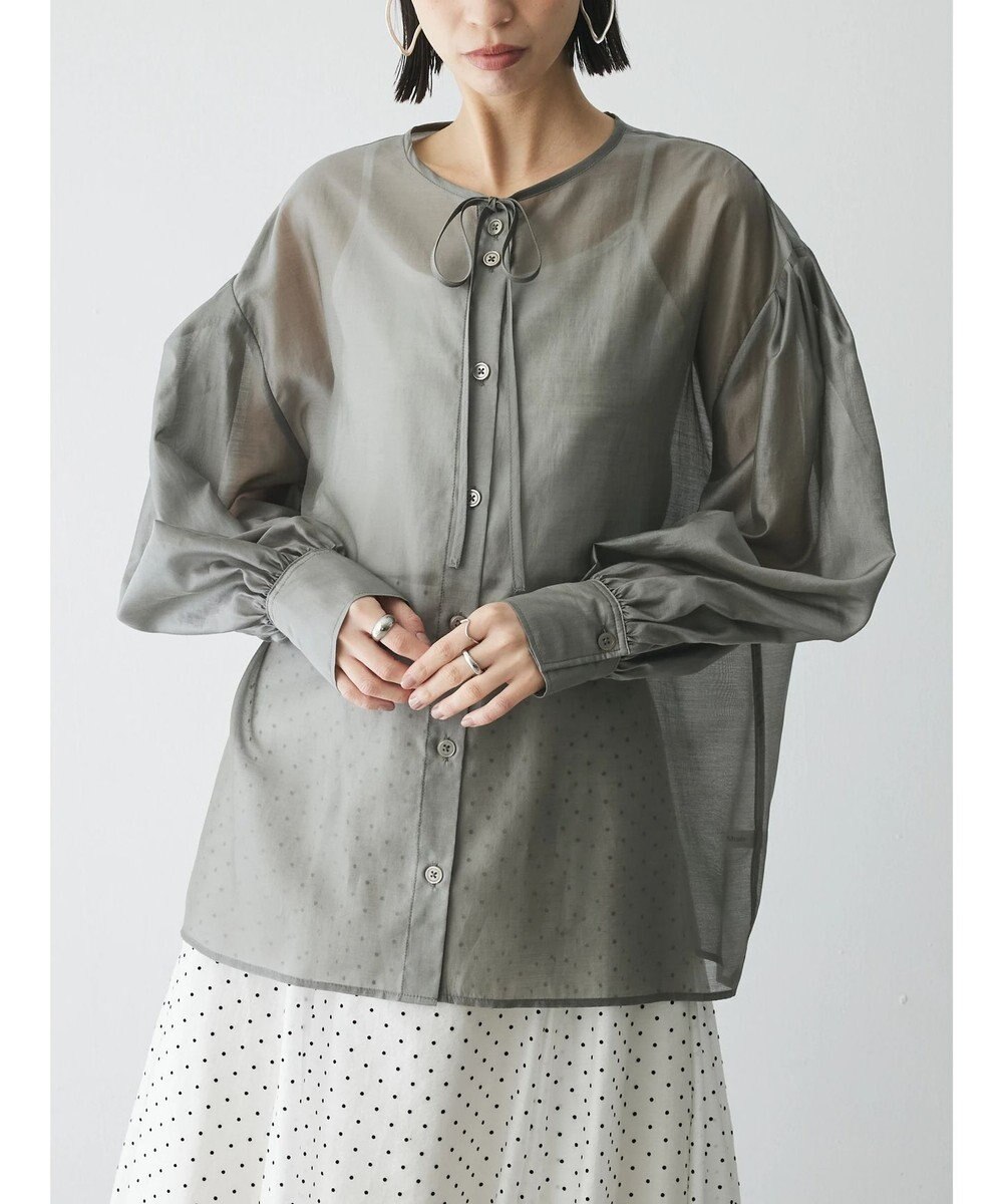 Green Parks AnriettMusee シアーボリュームスリーブブラウス 