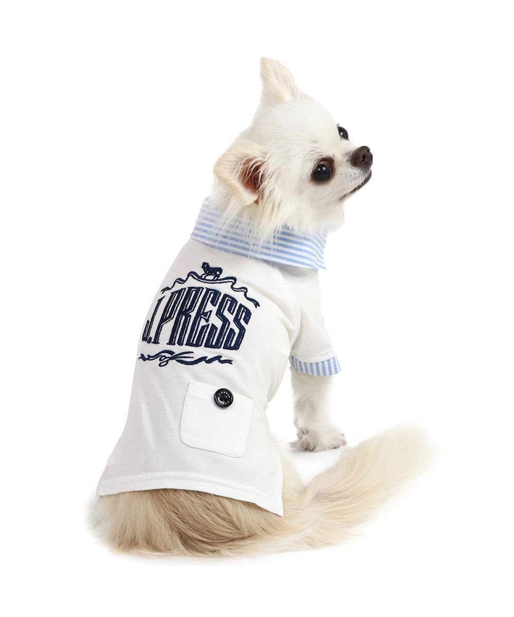 PET PARADISE J.PRESS スキッパーポロシャツ 小型犬 