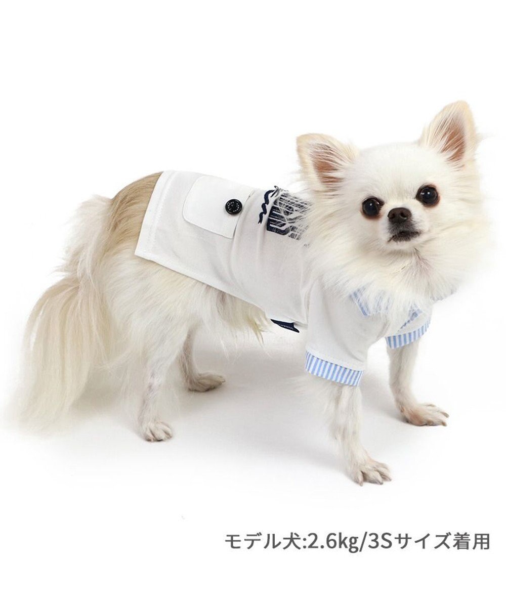 PET PARADISE J.PRESS スキッパーポロシャツ 小型犬 