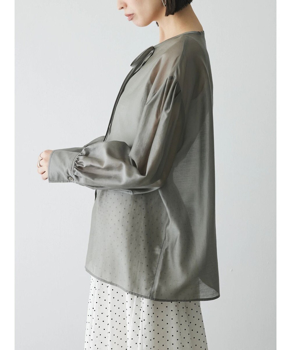 Green Parks AnriettMusee シアーボリュームスリーブブラウス 