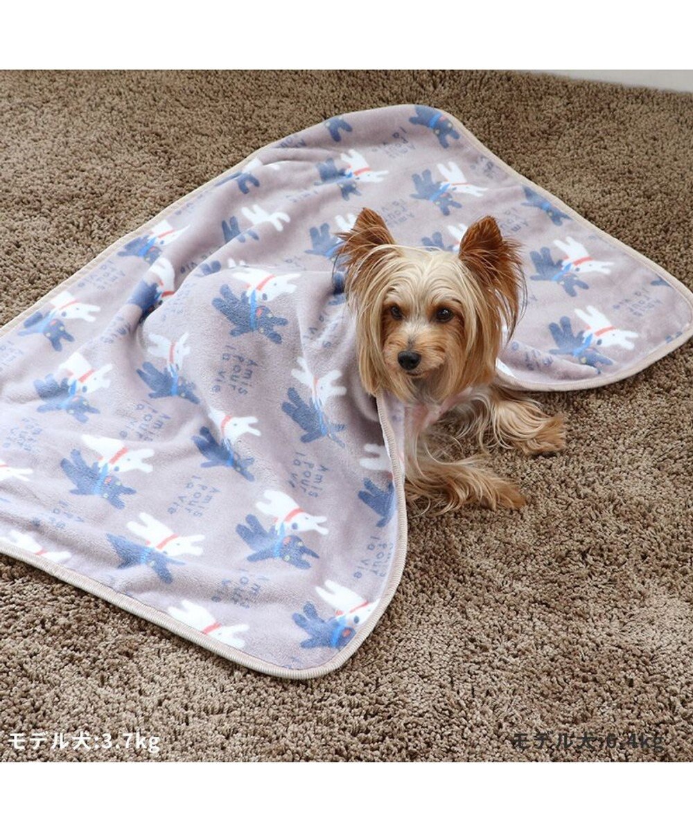 PET PARADISE リサとガスパール ブラケット 《であい柄》 90×60cm 