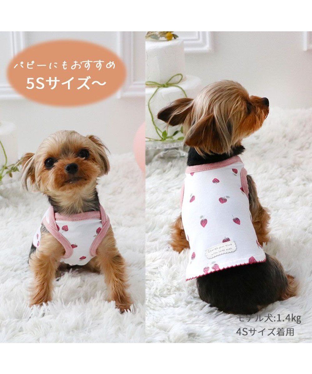 PET PARADISE ペットパラダイス はじめて タンクトップ 《いちご》 小型犬 