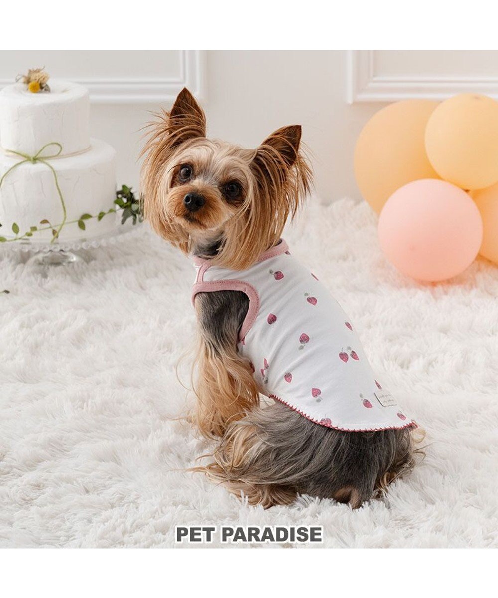 PET PARADISE ペットパラダイス はじめて タンクトップ 《いちご》 小型犬 