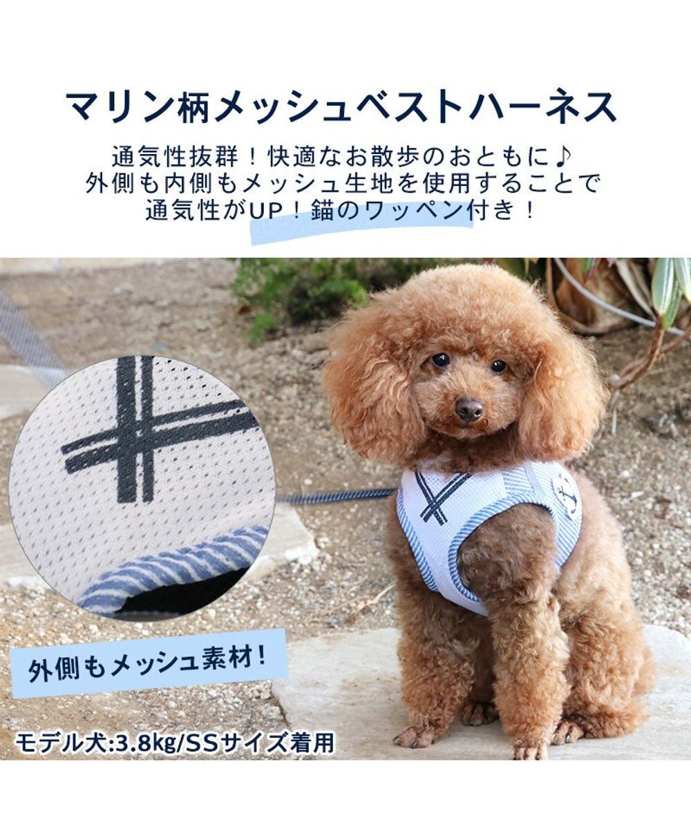 PET PARADISE 犬 ハーネス メッシュ ベスト ハーネス 【Ｓ】 小花柄／マリン 