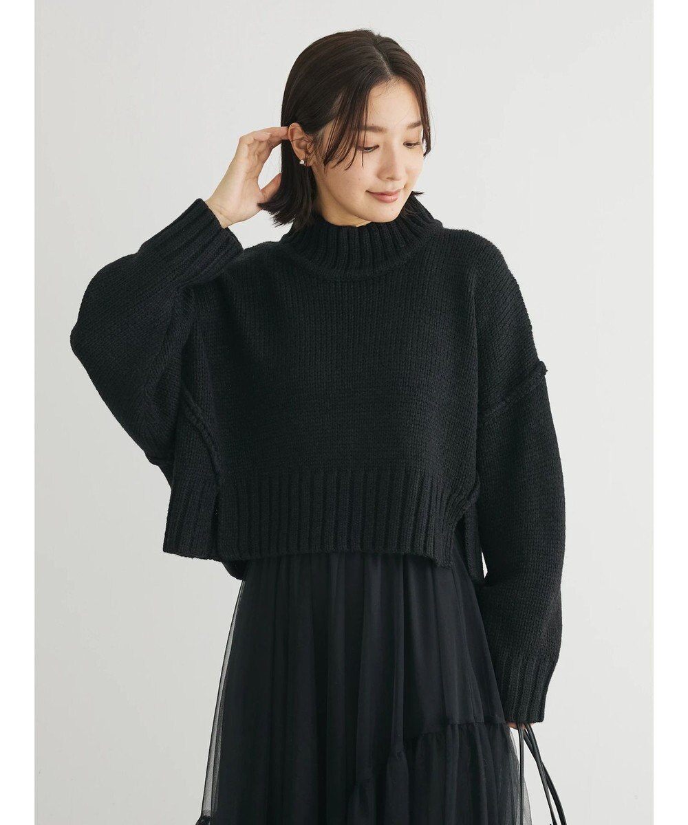 Green Parks ・ＳＵＧＡＲ　ＳＰＯＯＮ　ハイネックショートニット 