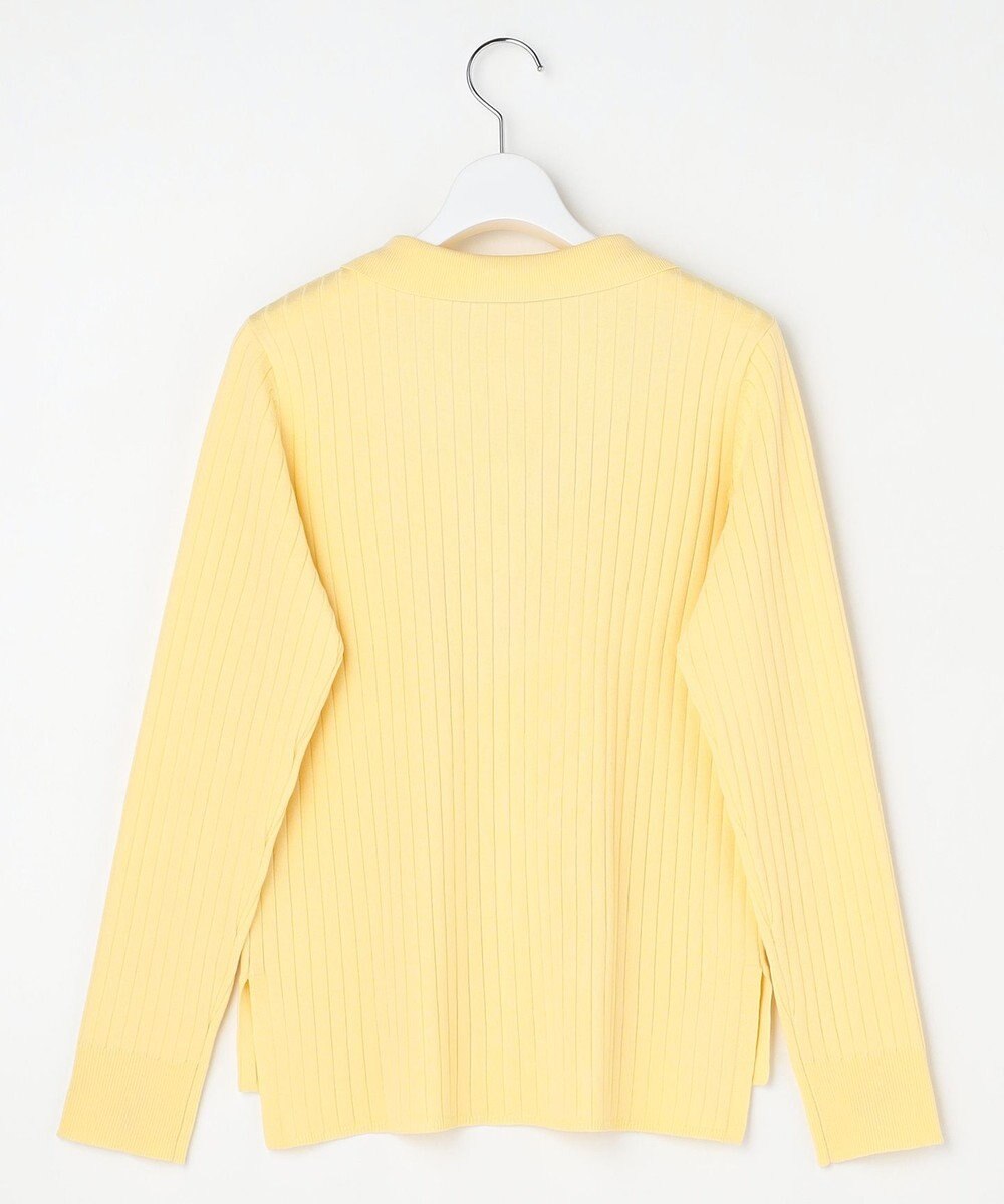 ANY SIS ポロカラーリブ ニット 