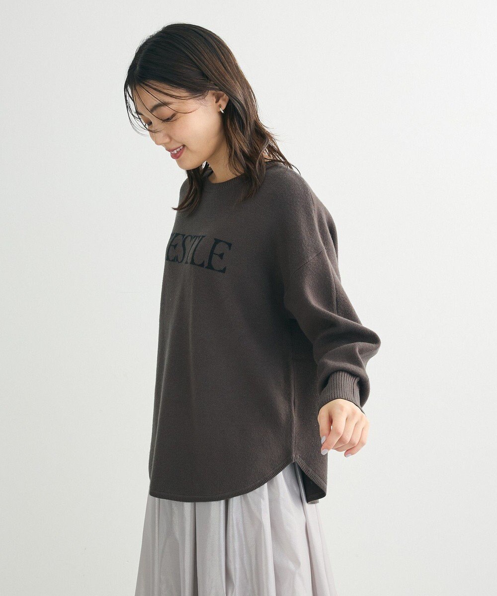 Green Parks もちやわロゴニットプルオーバー 