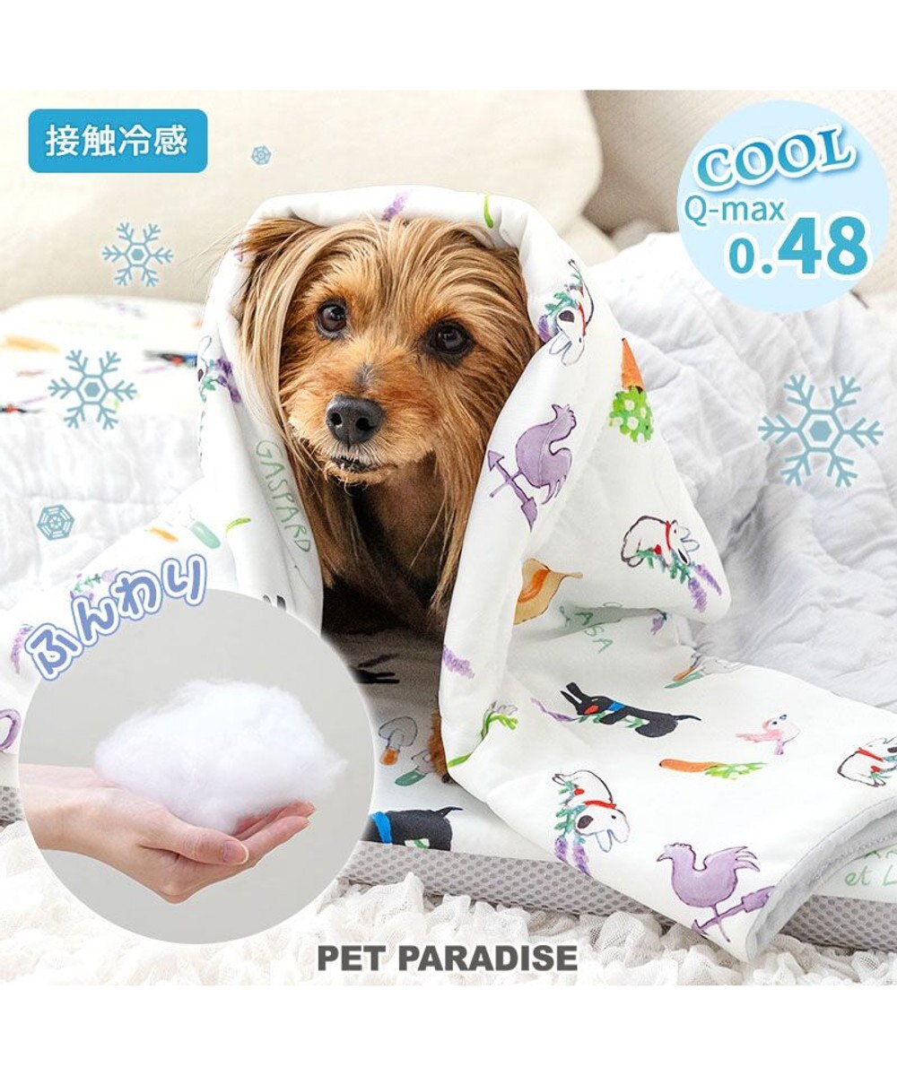 PET PARADISE リサとガスパール もちっと クール ブランケット 