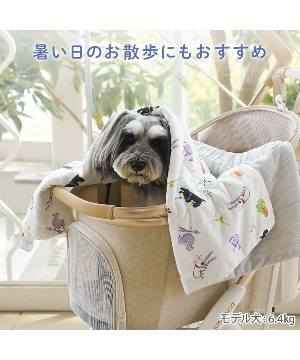 PET PARADISE リサとガスパール もちっと クール ブランケット 