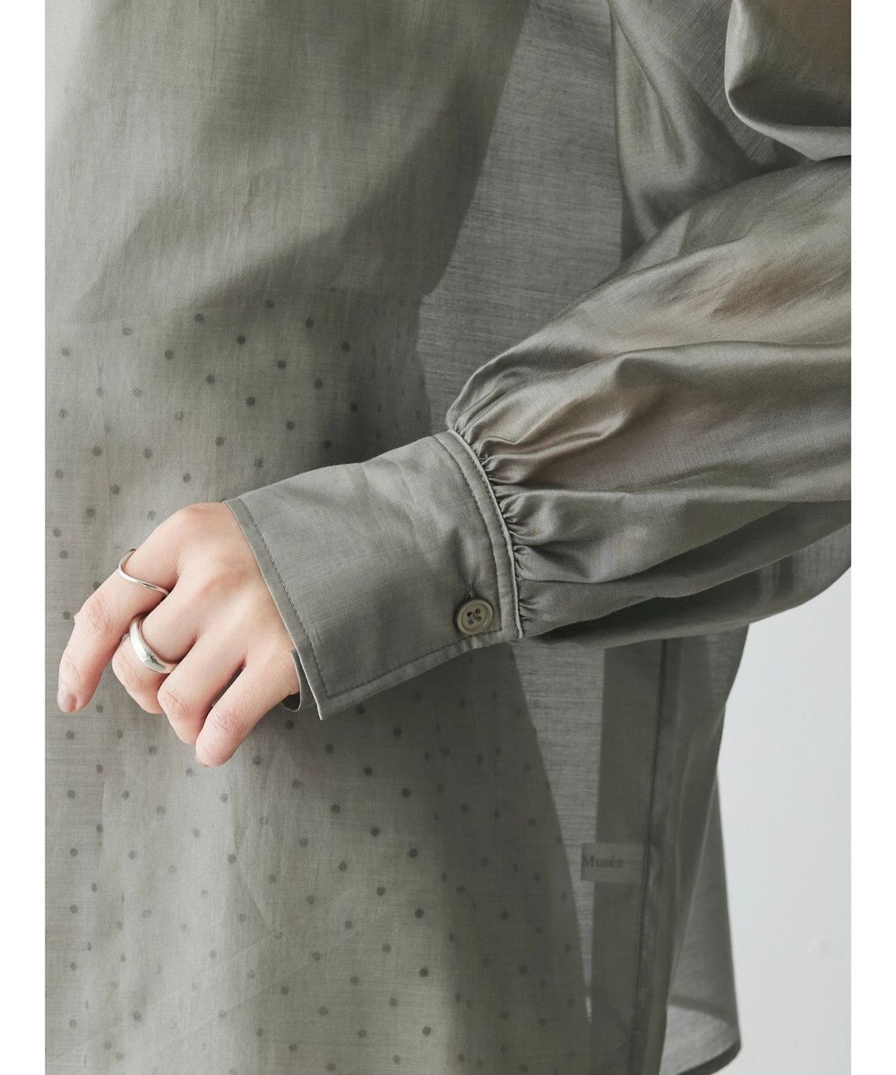 Green Parks AnriettMusee シアーボリュームスリーブブラウス 