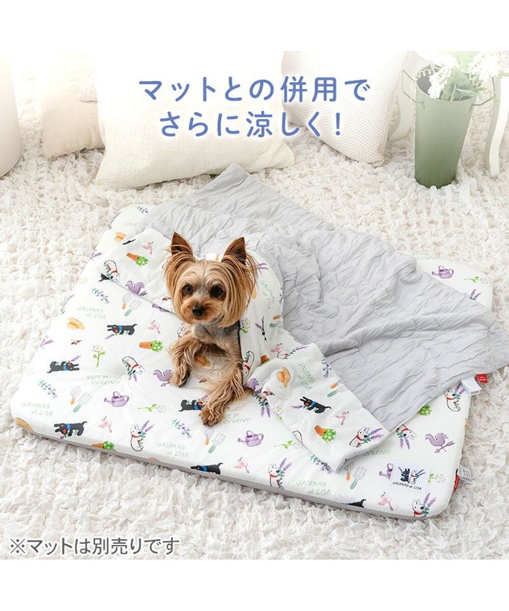 PET PARADISE リサとガスパール もちっと クール ブランケット 