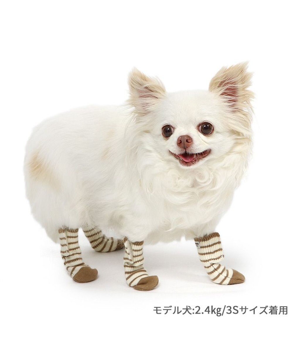 PET PARADISE ペットパラダイス makokoro スリット 靴下 《ボーダー》 ３Ｓ 小型犬 