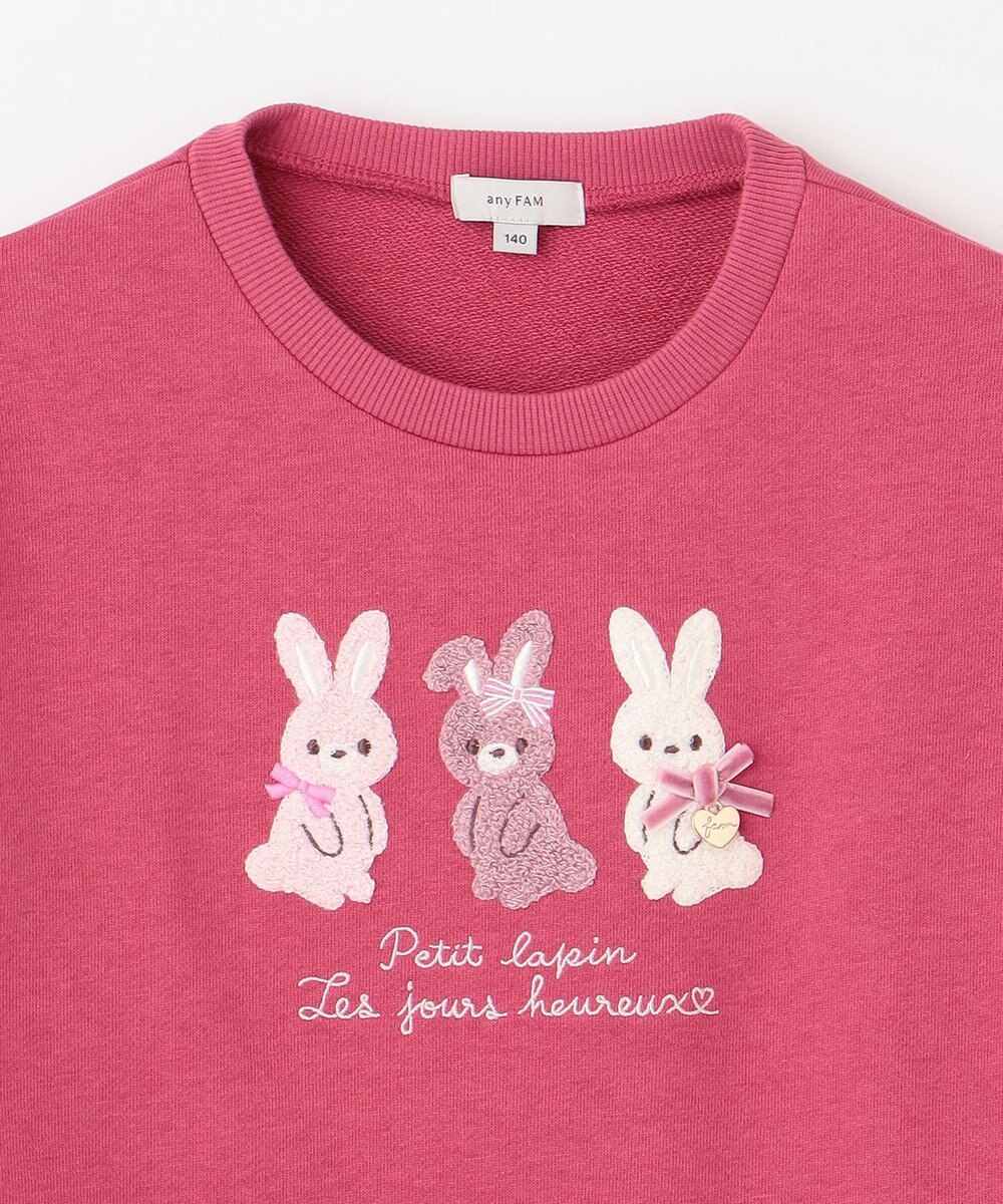 ANY KIDS 【らくっトレーナー】アニマル 裏毛 サガラ刺しゅう トレーナー 