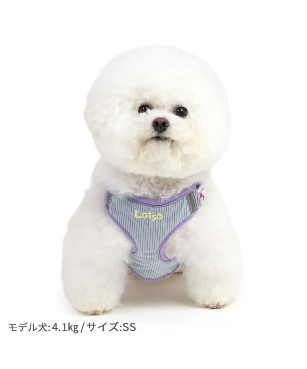 PET PARADISE ディズニー トイ・ストーリー ロッツォ マスコット付き ハーネス ＳＳ 小型犬 