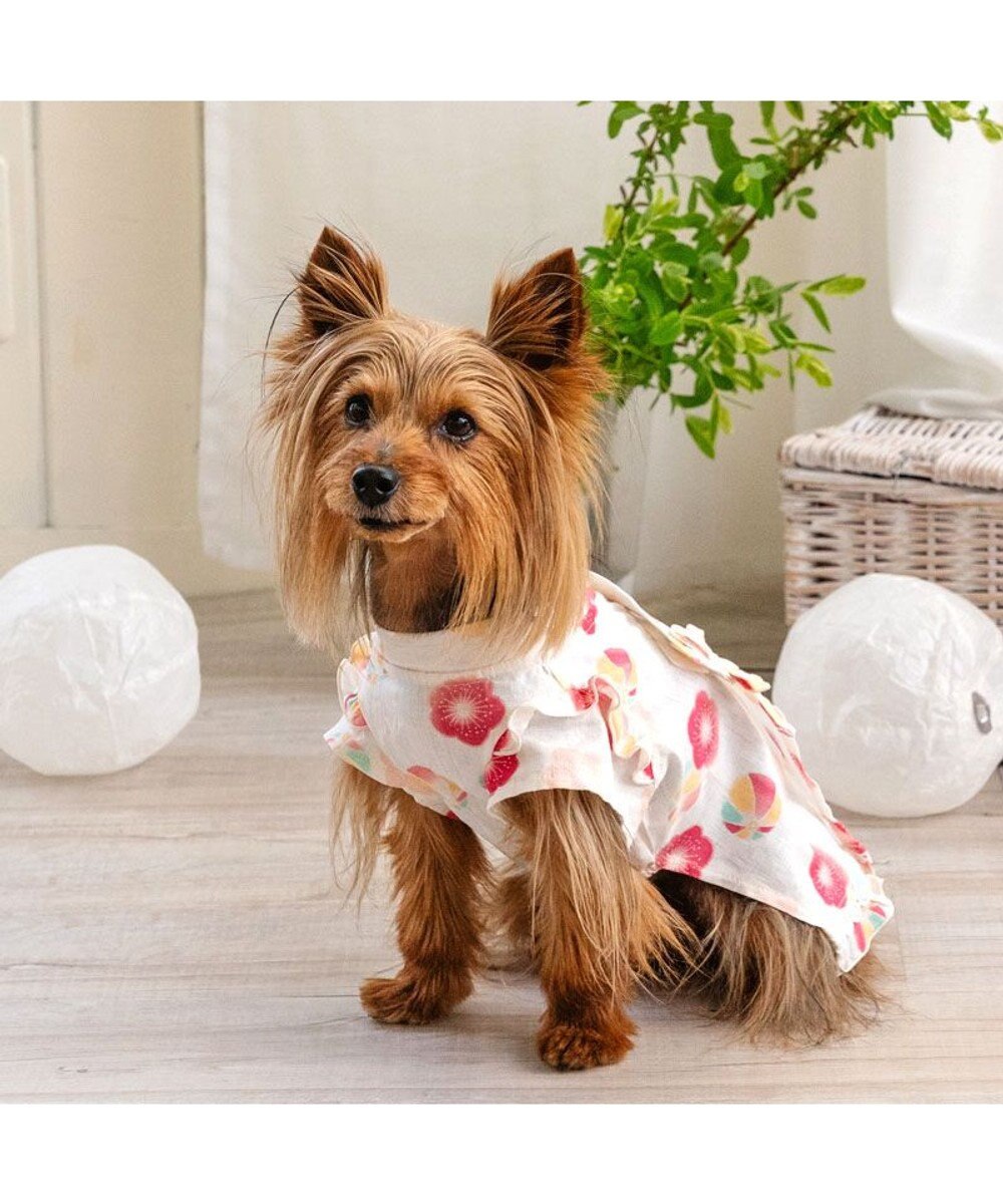 PET PARADISE ペットパラダイス 甚平《梅てまり柄》　小型犬 