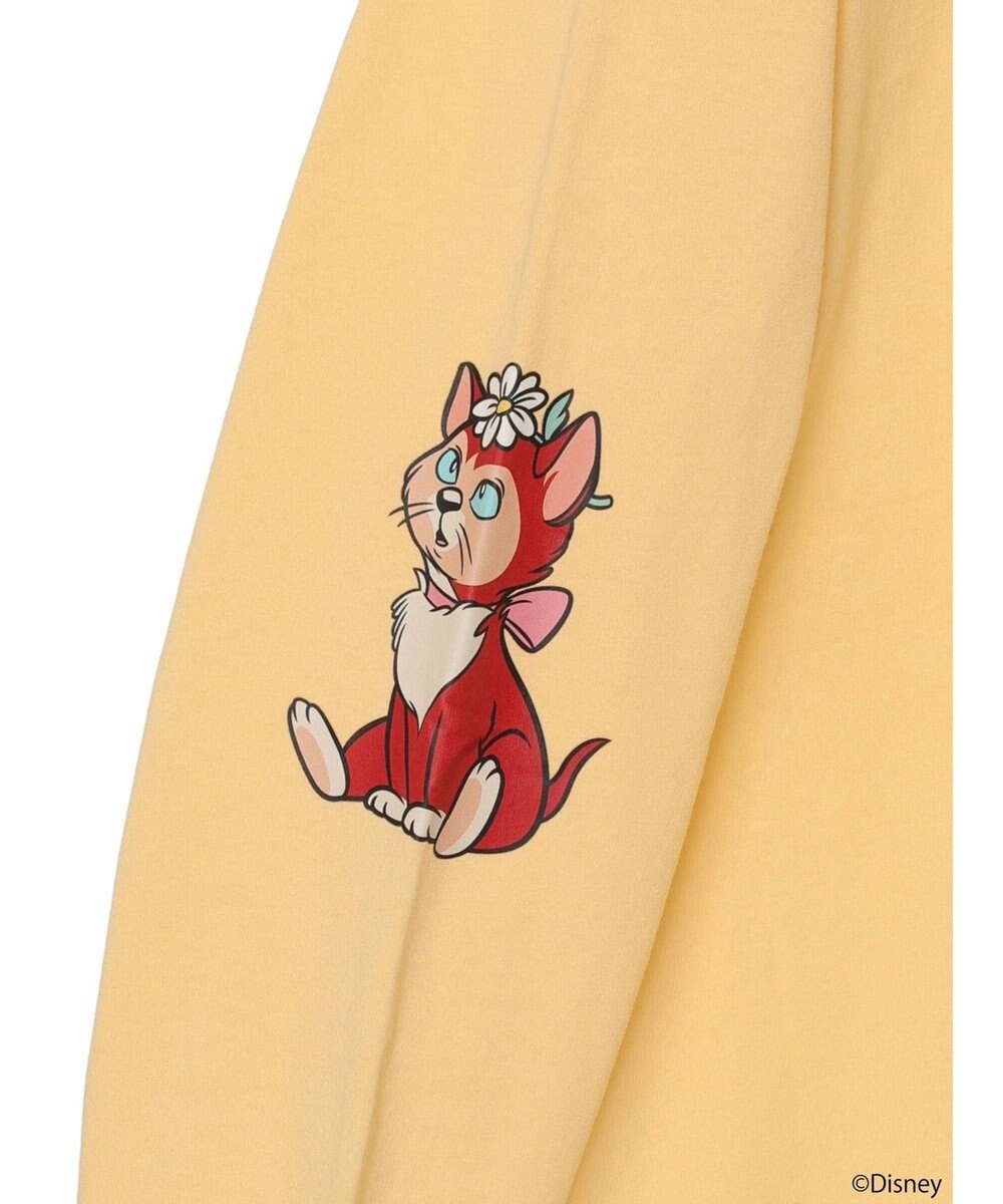 earth music&ecology Ｄｉｓｎｅｙ／袖ダイナロンＴ 