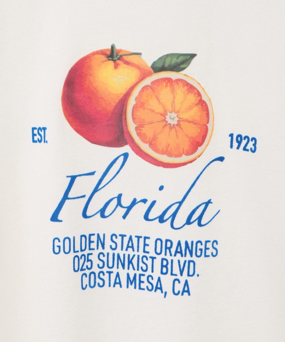 AMERICAN HOLIC 【WEB限定】フロッキーアソートTシャツ 