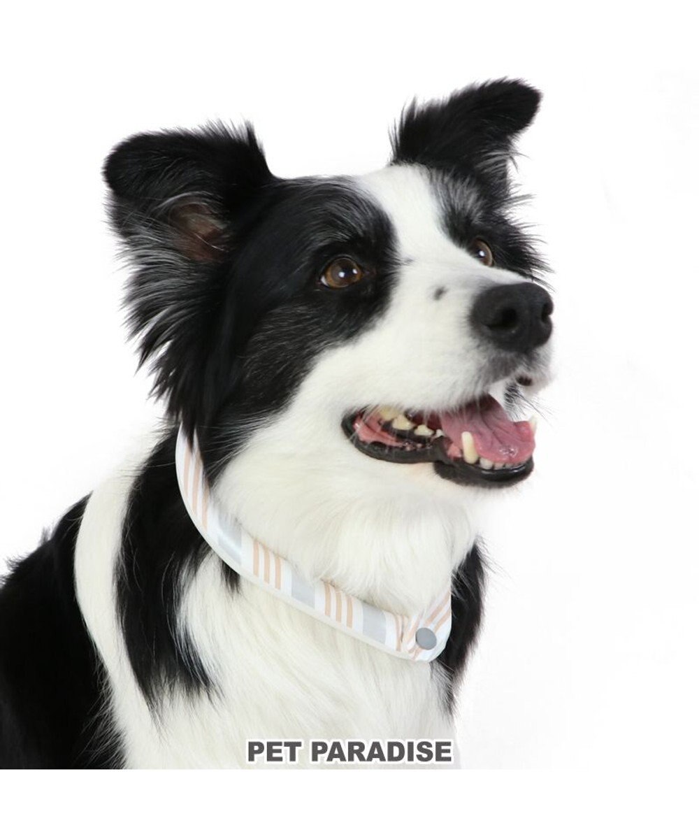 PET PARADISE クールリング 犬 クールネック ひんやり 28℃クールリング 【Ｍ】 リフレクター 水色 ベージュ 反射材付き 