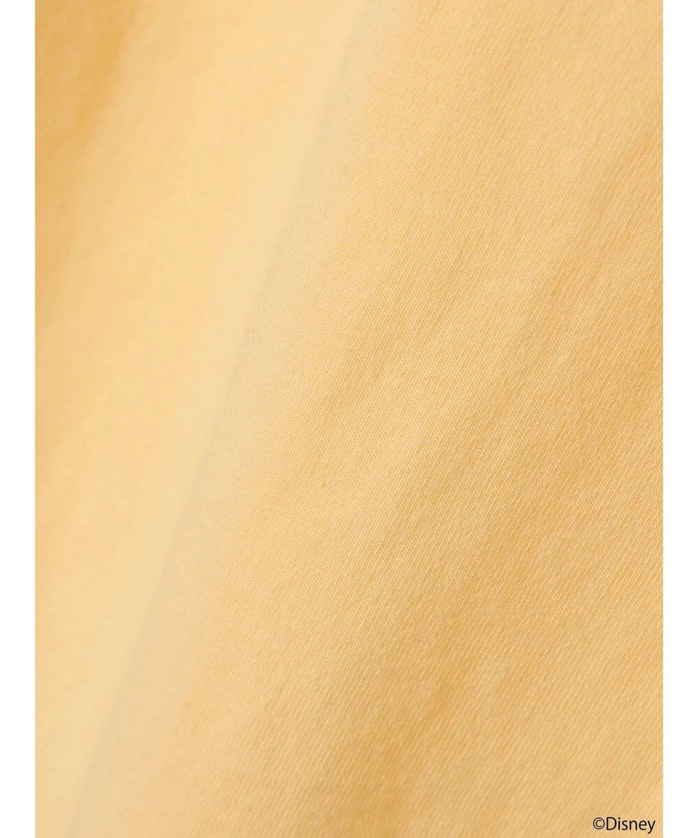 earth music&ecology Ｄｉｓｎｅｙ／袖ダイナロンＴ 