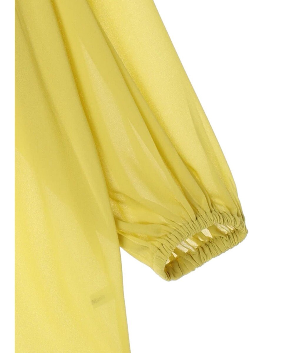 Green Parks AnriettMusee ボリュームシアーブラウス 