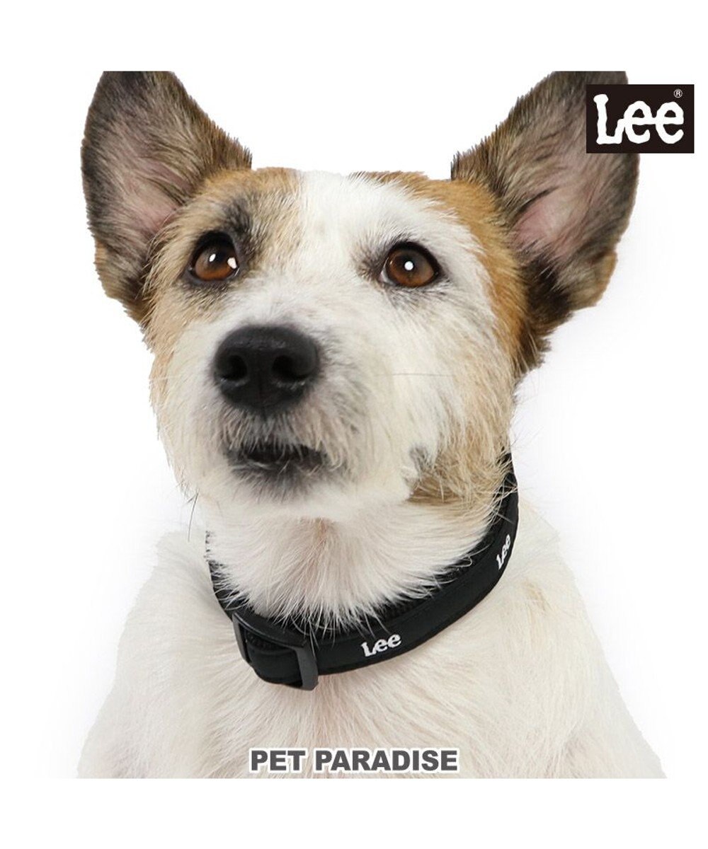 PET PARADISE 犬 首輪 Ｌｅｅ おしゃれ 【Ｓ】 反射 チャーム付き 黒