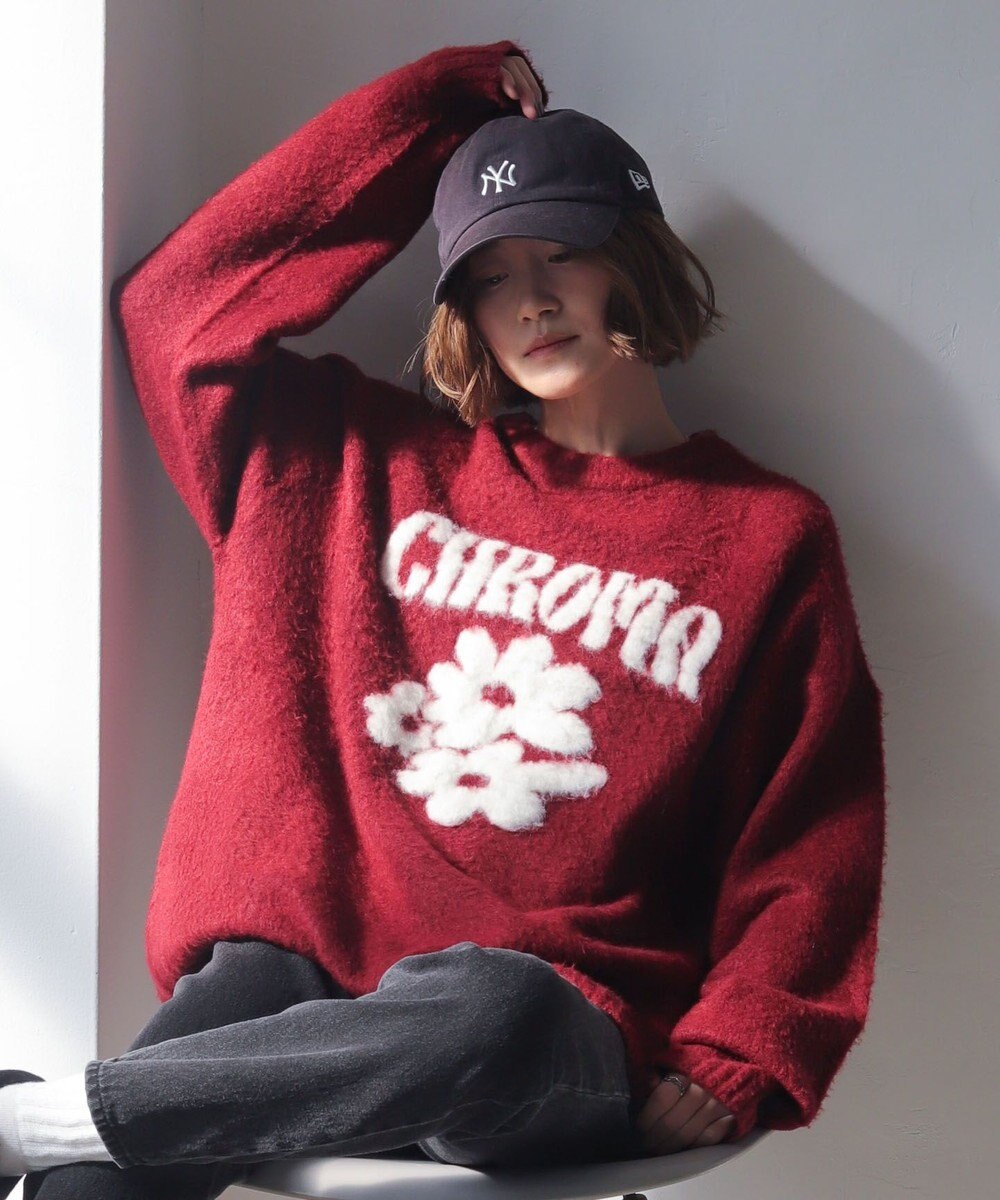 WEGO 【ユニセックス着用ITEM/MLサイズ展開/25年秋冬新作】ファジーグラフィックプルオーバー 