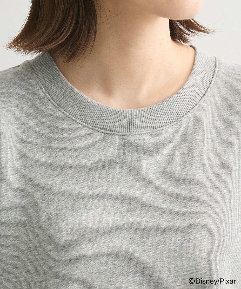 Green Parks トイストーリー／ピザフロッキープルオーバー 