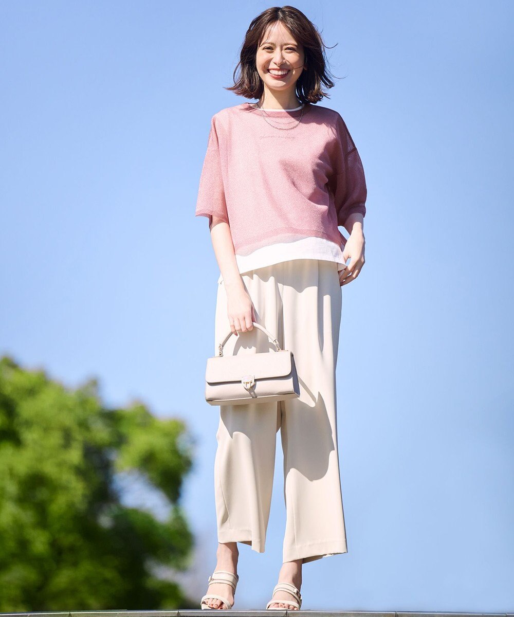 ANY SIS L 【洗える】シアー ニットT 