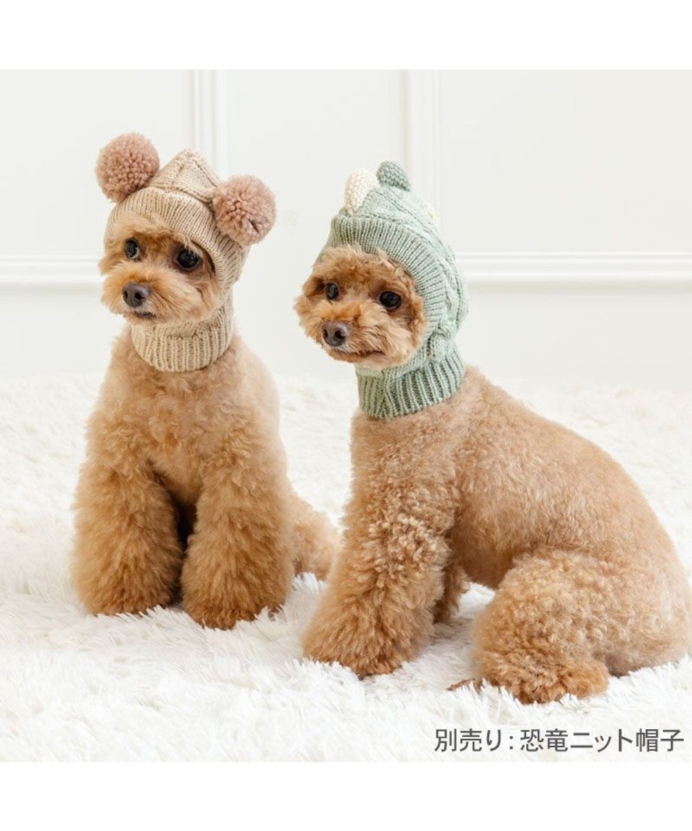 PET PARADISE ペットパラダイス くまちゃん ニット 帽子 小型犬 
