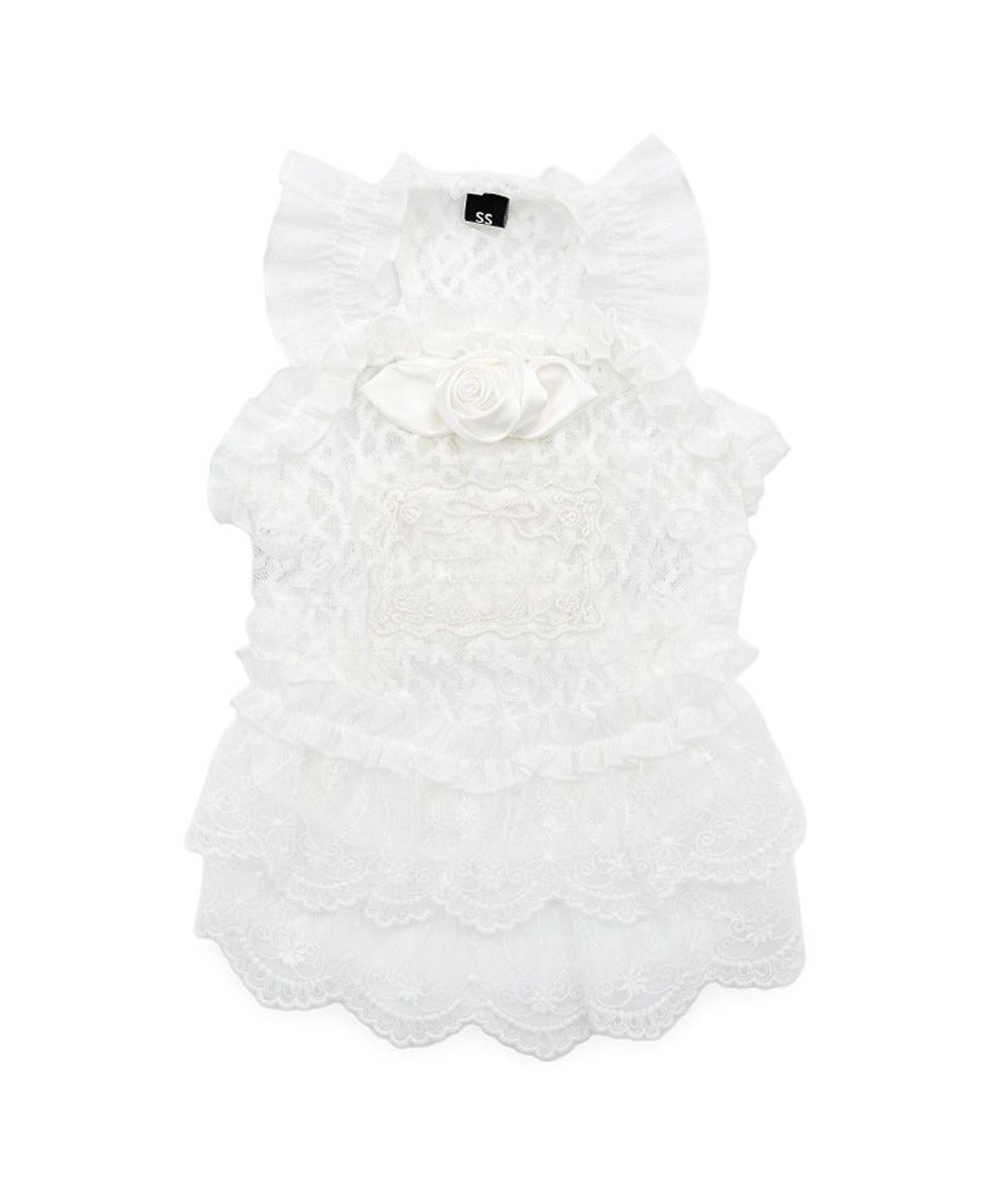 PET PARADISE cherircouture 総レース キャミソール 小型犬 