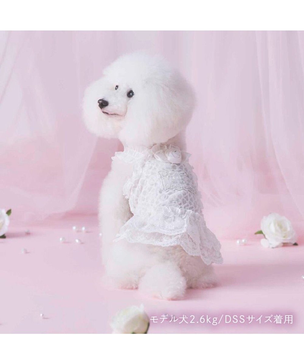 PET PARADISE cherircouture 総レース キャミソール 小型犬 