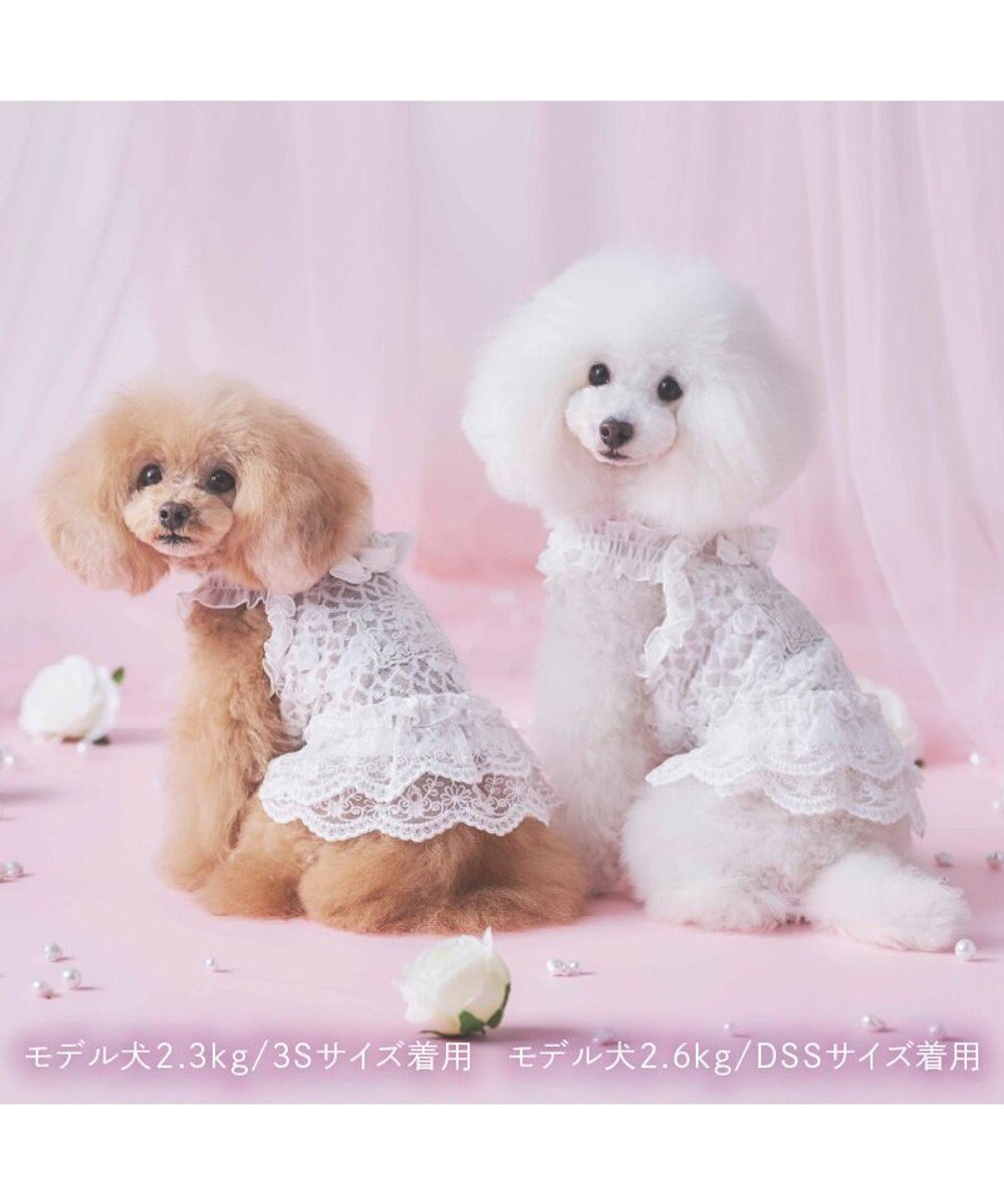 PET PARADISE cherircouture 総レース キャミソール 小型犬 