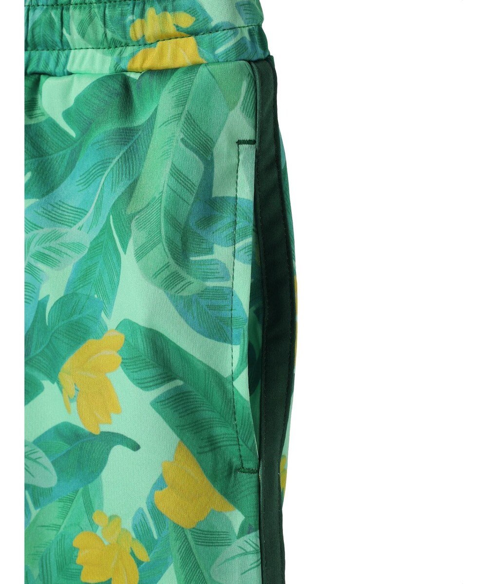 Green Parks ｍｅ　Ｊａｎｅ／プリントショートパンツ 