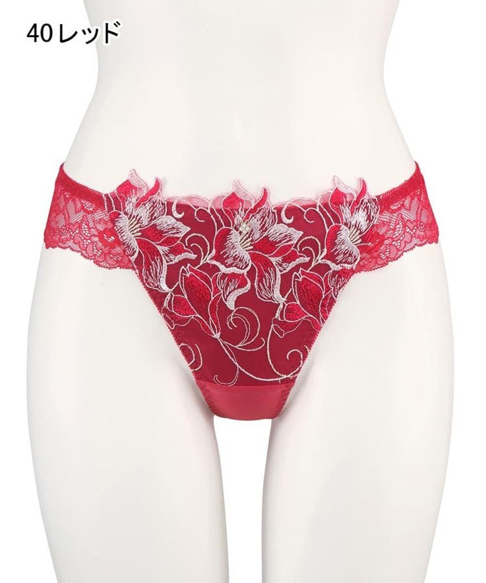 San-ai Resort（三愛水着楽園） エレガントコレクション2311Tショーツ    【M・Lサイズ】【northerly】 