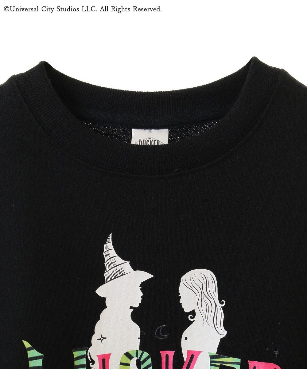 Green Parks ■ＷＩＣＫＥＤ　シルエットｐｔスウェット 