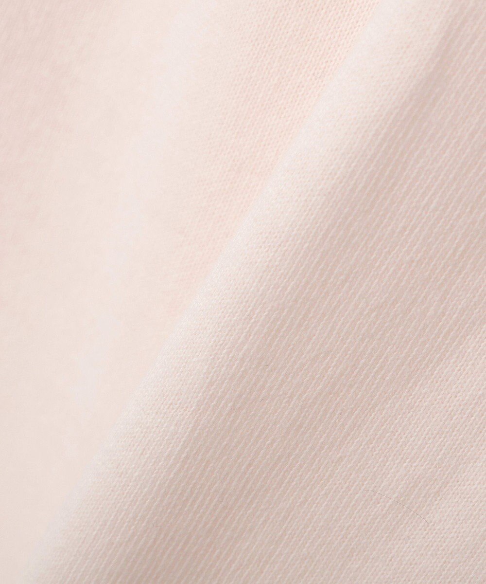 AMERICAN HOLIC BACK PHOTOプリントロンT 