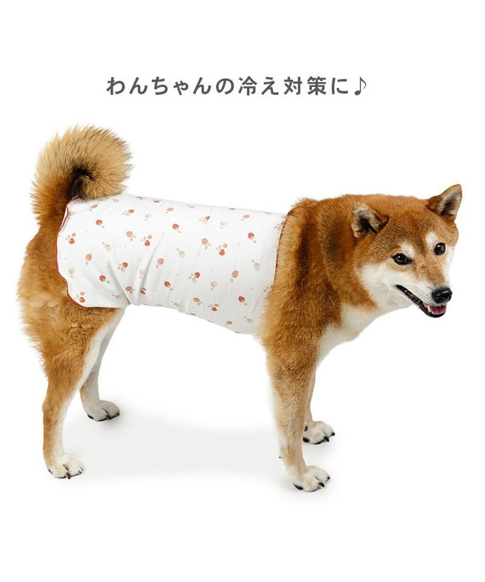 PET PARADISE ペットパラダイス ペティヒート 天竺 腹巻 《いちご柄》 中型犬 