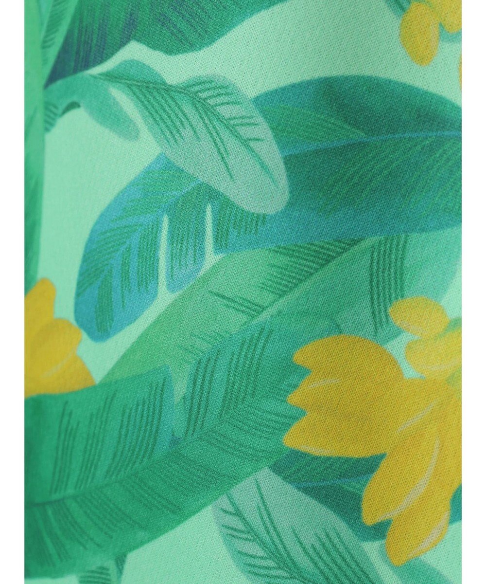 Green Parks ｍｅ　Ｊａｎｅ／プリントショートパンツ 