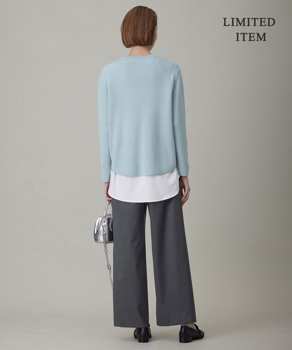 ICB 【WEB限定・洗える】ウールポリエステル クルーネックプルオーバー 