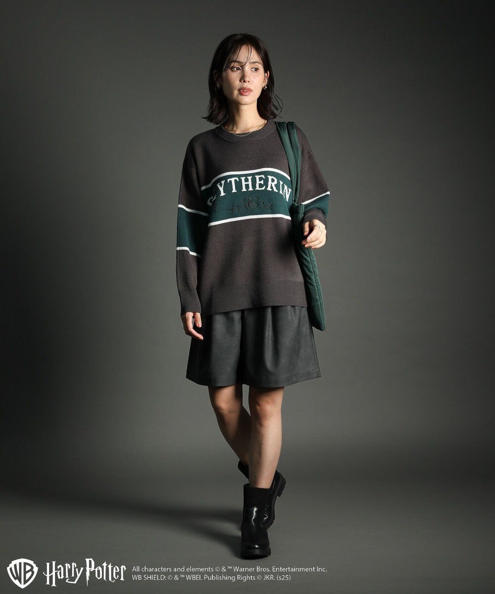 Green Parks ハリー・ポッター／ジャガードラインニット 