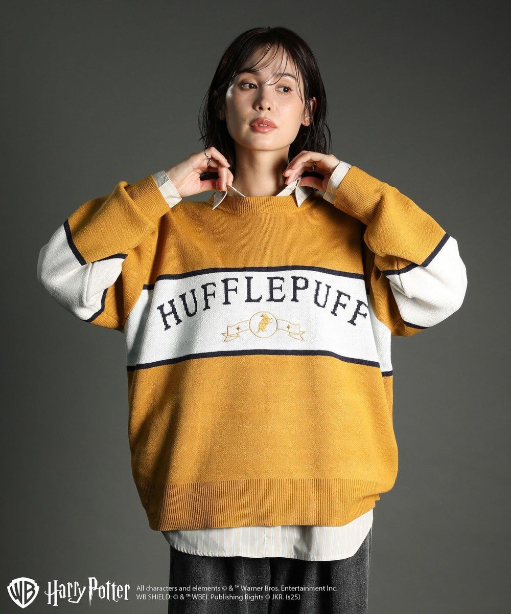 Green Parks ハリー・ポッター／ジャガードラインニット 