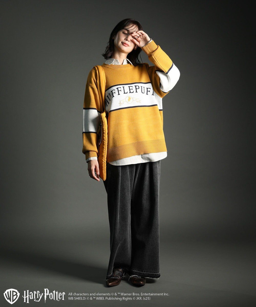 Green Parks ハリー・ポッター／ジャガードラインニット 