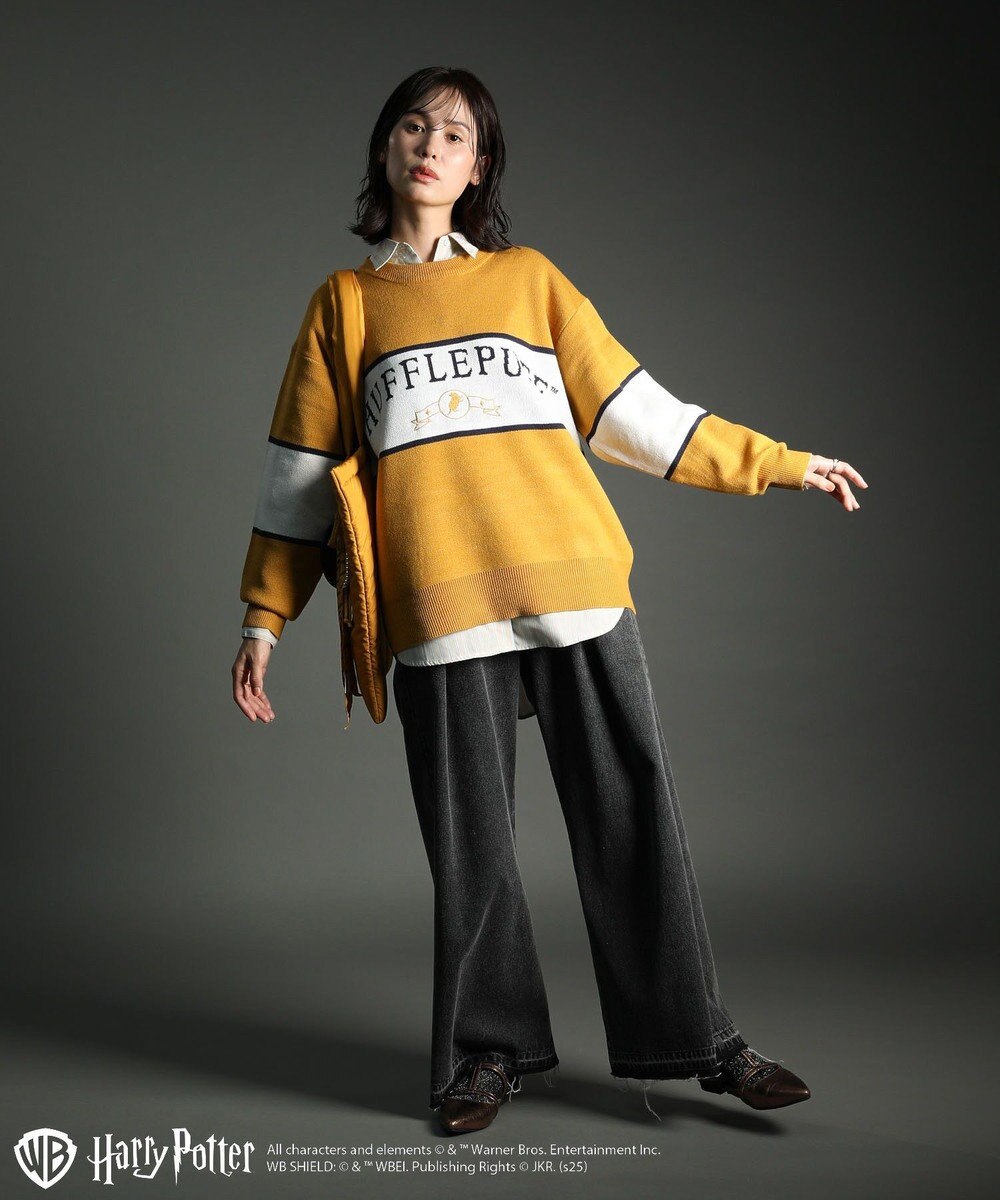 Green Parks ハリー・ポッター／ジャガードラインニット 