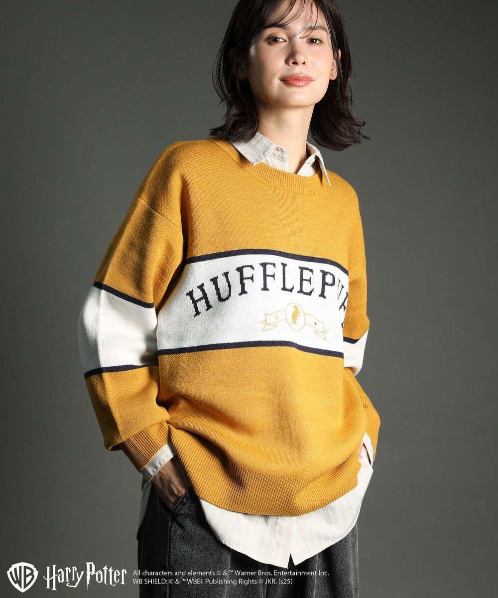 Green Parks ハリー・ポッター／ジャガードラインニット 