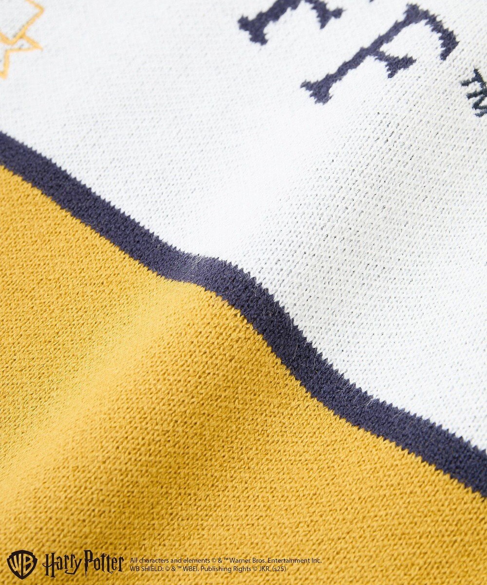 Green Parks ハリー・ポッター／ジャガードラインニット 